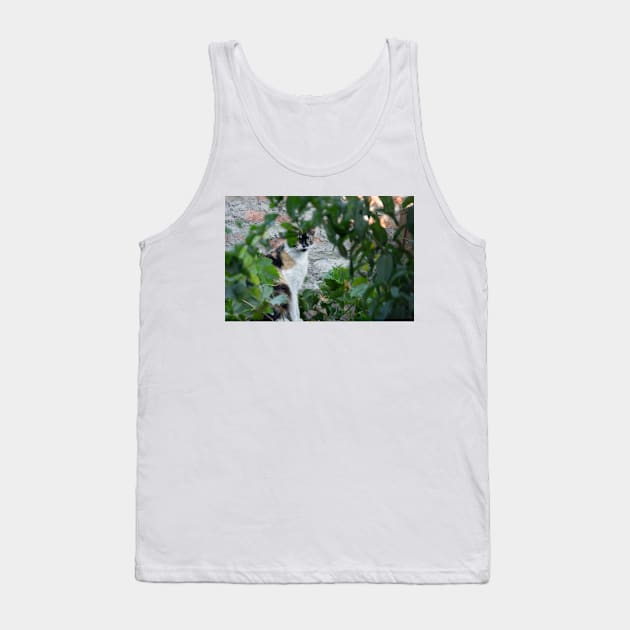 332015 calico wild thing Tank Top by pcfyi